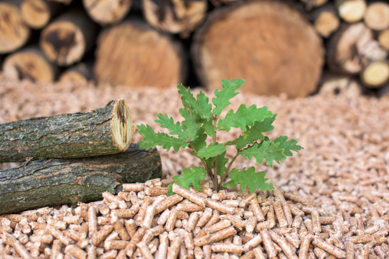 Oak Hardwood Pellets for Mushroom Growing & Pizza Ovens