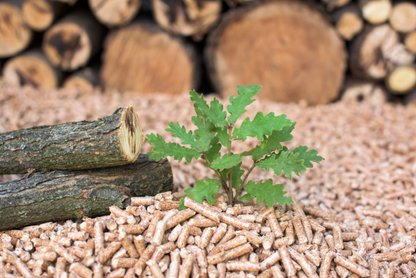 Oak Hardwood Pellets for Mushroom Growing & Pizza Ovens