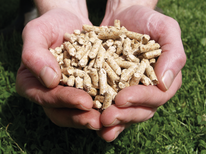 Woodlets ENPlus A1 Wood Pellets for Fuel